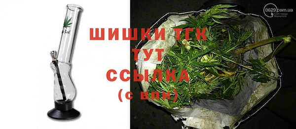 ПСИЛОЦИБИНОВЫЕ ГРИБЫ Белокуриха