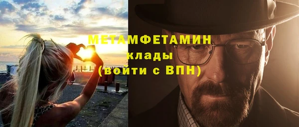 сатива Балахна