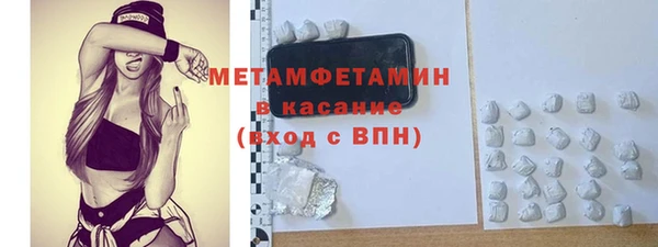 сатива Балахна