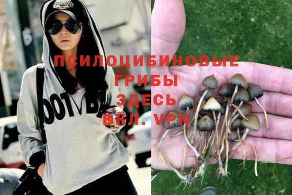 шишки Щучье