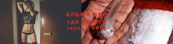 сатива Белоозёрский