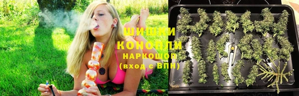 прущие крисы Беломорск