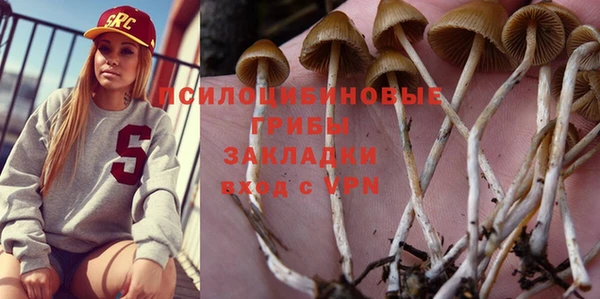 прущие крисы Беломорск