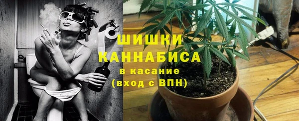 сатива Белоозёрский