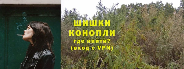 ПСИЛОЦИБИНОВЫЕ ГРИБЫ Белокуриха