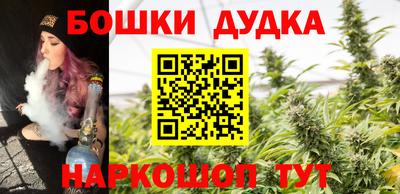 индика Анжеро-Судженск