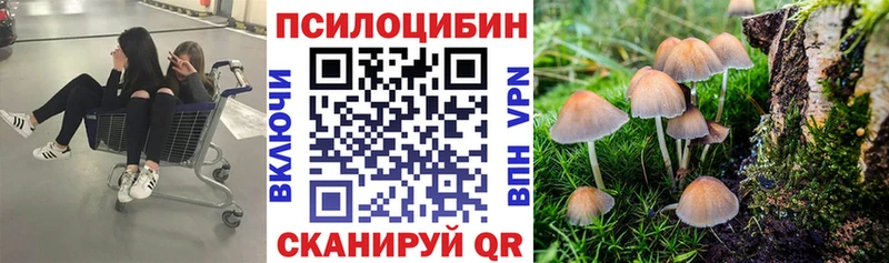 omg маркетплейс  Кольчугино  Галлюциногенные грибы ЛСД  где можно купить  