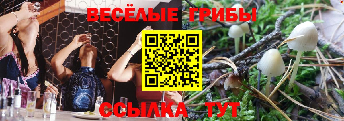 Кольчугино  Псилоцибиновые грибы мухоморы  Галлюциногенные грибы мицелий  Вход с VPN 