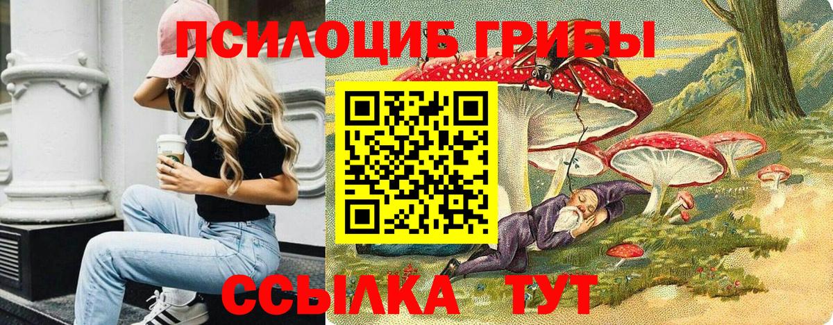Псилоцибиновые грибы Cubensis Кольчугино