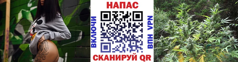 купить наркотики цена Кольчугино маркетплейс формула Шишки марихуана White Widow
